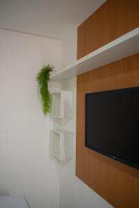 勞魯－迪弗雷塔斯的住宿－POUSADA PEDRA DE JACÓ，客厅配有电视,墙上挂有植物