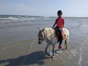 a young boy riding a white horse on the beach at Chalet Joy aan Zee in Hollum