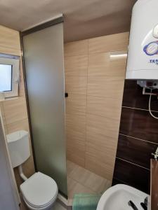 un baño con inodoro y lavabo en Casuta -Maria-Kisház, en Sovata