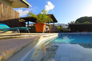 una piscina con una maceta junto a una casa en KIA ORA Lodge, en Afaahiti