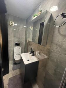 uma casa de banho com um lavatório e um WC em Da Vinci Guest House & Guest Parking em Crawley