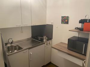 Kuchyň nebo kuchyňský kout v ubytování Joline private guest apartement Studio 45m2