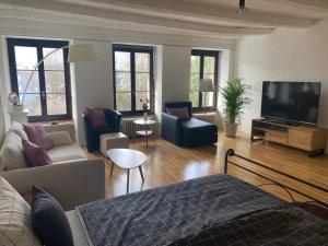 Televiisor ja/või meelelahutuskeskus majutusasutuses Joline private guest apartement Studio 45m2