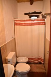 La salle de bains est pourvue de toilettes et d'un rideau de douche. dans l'établissement Cabañas La rueda, à Tilcara