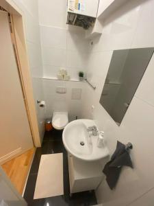 een kleine badkamer met een wastafel en een toilet bij Cozy appartm with + airport/city center connection in Wenen