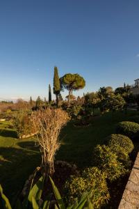 um jardim com árvores e plantas num parque em VILLA SORELLINA em Gouvia