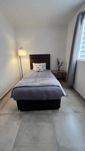 a bedroom with a bed and a lamp in it at Apartamento Hospicio Cabañas in Guadalajara