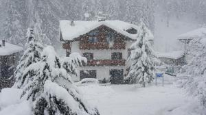 a house covered in snow with trees in front of it at Appartamento Cogolo con terrazza in Cogolo