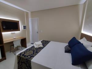 a bedroom with a bed and a desk and a television at HOTEL LA SIERRA in Bodoquena