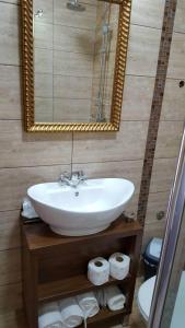 a bathroom with a sink and a mirror and a toilet at Bački dvor 