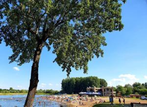 Dabas ainava viesnīcas tuvumā