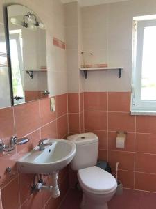 a bathroom with a toilet and a sink at TOPOLA in Gąski