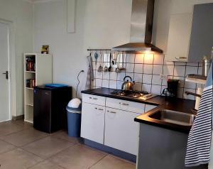 uma pequena cozinha com um lavatório e um frigorífico em Apartment Villa Valentina em Noord