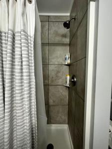 bagno con doccia e tenda doccia di Sonia's Guest Suite in Montesano-Gateway to Olympic National Park a Montesano