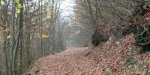 Pokrajina v okolici hotela