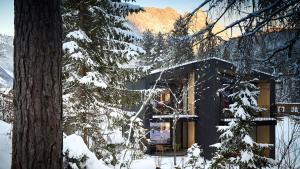 a house in the winter with snow covered trees at KOKON Apartments in Leutasch