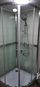 y baño con ducha y puerta de cristal. en ÖLJERSJÖ COTTAGE en Lyckeby