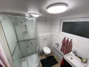 Lyckeby的住宿－ÖLJERSJÖ COTTAGE，带淋浴、卫生间和盥洗盆的浴室