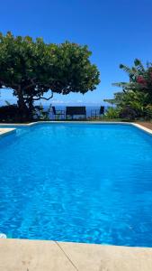 a blue swimming pool with a view of the ocean at Villa Te Miti in Punaauia