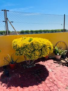 Kép Villa Guadalupe szállásáról Moncófarban a galériában