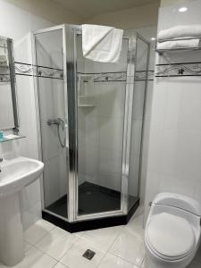 a bathroom with a shower and a toilet and a sink at Trinity Hotel in Wellington