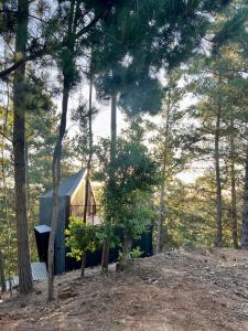 Gallery image of Quebrada Pupuya, una cabaña en medio del bosque in Pupuya