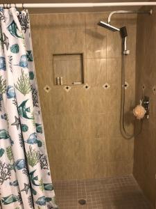 a bathroom with a shower with a shower curtain at ,Treasure Cay, Bahamas, Cottages Luis & Sofia, 2 Bed 2 Bath in Treasure Cay