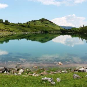a lake in the middle of a grassy field at Seosko domaćinstvo Miko Merdović in Berane