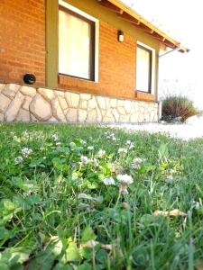 a field of grass with flowers in front of a building at Escallonia House in San Martín de los Andes
