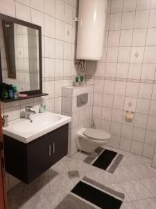 ein Badezimmer mit einem Waschbecken, einem WC und einem Spiegel in der Unterkunft DenyLana Apartman in Konjic