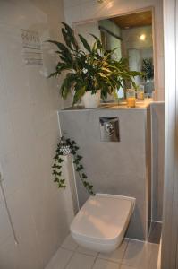 a bathroom with a toilet and a potted plant at Kemnater Alm in Kaufbeuren