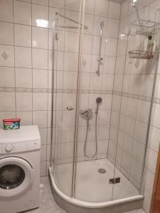 eine Dusche im Bad mit einer Waschmaschine in der Unterkunft DenyLana Apartman in Konjic