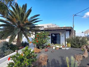 een tuin voor een huis met een palmboom bij Apartamento con terraza y jardín in Las Breñas