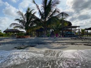 San Onofre的住宿－Kiosko uva playa frente al mar，棕榈树和建筑的沙滩