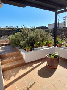 een patio met potplanten op een dak bij Apartamento con terraza y jardín in Las Breñas +10 foto's