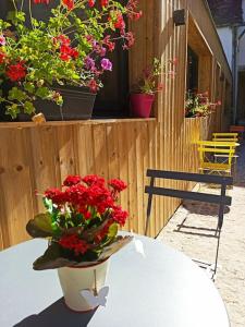 una mesa con un jarrón de flores rojas. en Studio confort la plume, en Pont-sur-Seine
