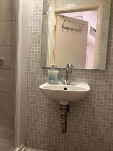 a bathroom with a sink and a mirror and a shower at Studio Flat In Croydon in Thornton Heath