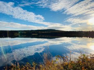 a view of a lake with trees and clouds at Ferienwohnung-/Haus mit kostenfreiem Parkplatz in Kurort Altenberg