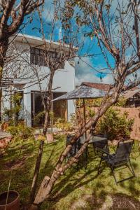 ein Haus mit einem Baum und einem Stuhl im Hof in der Unterkunft casa79sancris in San Cristóbal de las Casas
