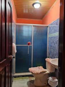 a bathroom with a shower with a toilet and a sink at Hostal Familiar Noemi in David