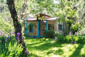 a house in the middle of a yard with flowers at La casita del bosque, en el río. in Fray Luis Beltrán