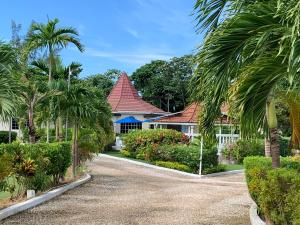 una casa con palmeras y un camino de entrada en Whistling Villa Runaway Bay en Runaway Bay