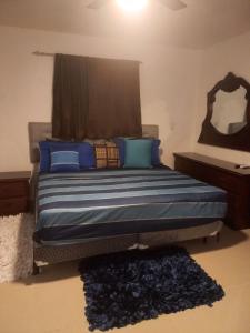 um quarto com uma cama com almofadas azuis e um espelho em RESIDENCIAL PARADISE 3 J3 em Santiago de los Caballeros