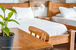 una camera con due letti e un tavolo con una pianta di Lost in San Jose Hotel & Hostel a San José