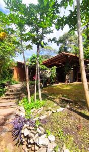 un jardín con árboles y una casa al fondo en Chalezinho Na Mata Cipó Luxo - Inesquecível (privativo na mata e no centro da serra), en Santana do Riacho