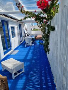 une terrasse couverte avec un sol bleu et des fleurs. dans l'établissement Mosselbank Beach Retreat 3, à Paternoster
