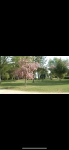 Fotografia z galérie ubytovania Camping le clos des Sablons v destinácii Guainville