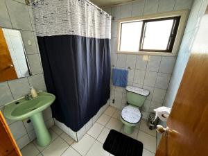 a bathroom with a shower and a toilet and a sink at Hostal Magia Chilota in Castro