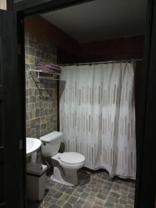 a bathroom with a toilet and a sink and a shower curtain at Hostal La Minga in Chaitén