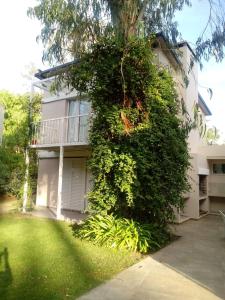 a building with a large green bush in front of it at Rabastens in Mar de las Pampas